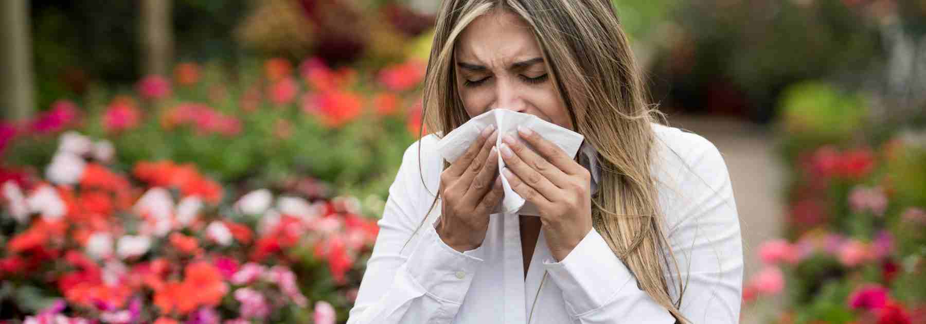 hay fever remedies